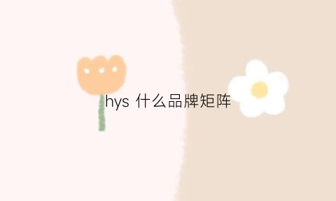 hys 什么品牌矩阵